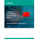 2023 China PLM Market Analysis Report