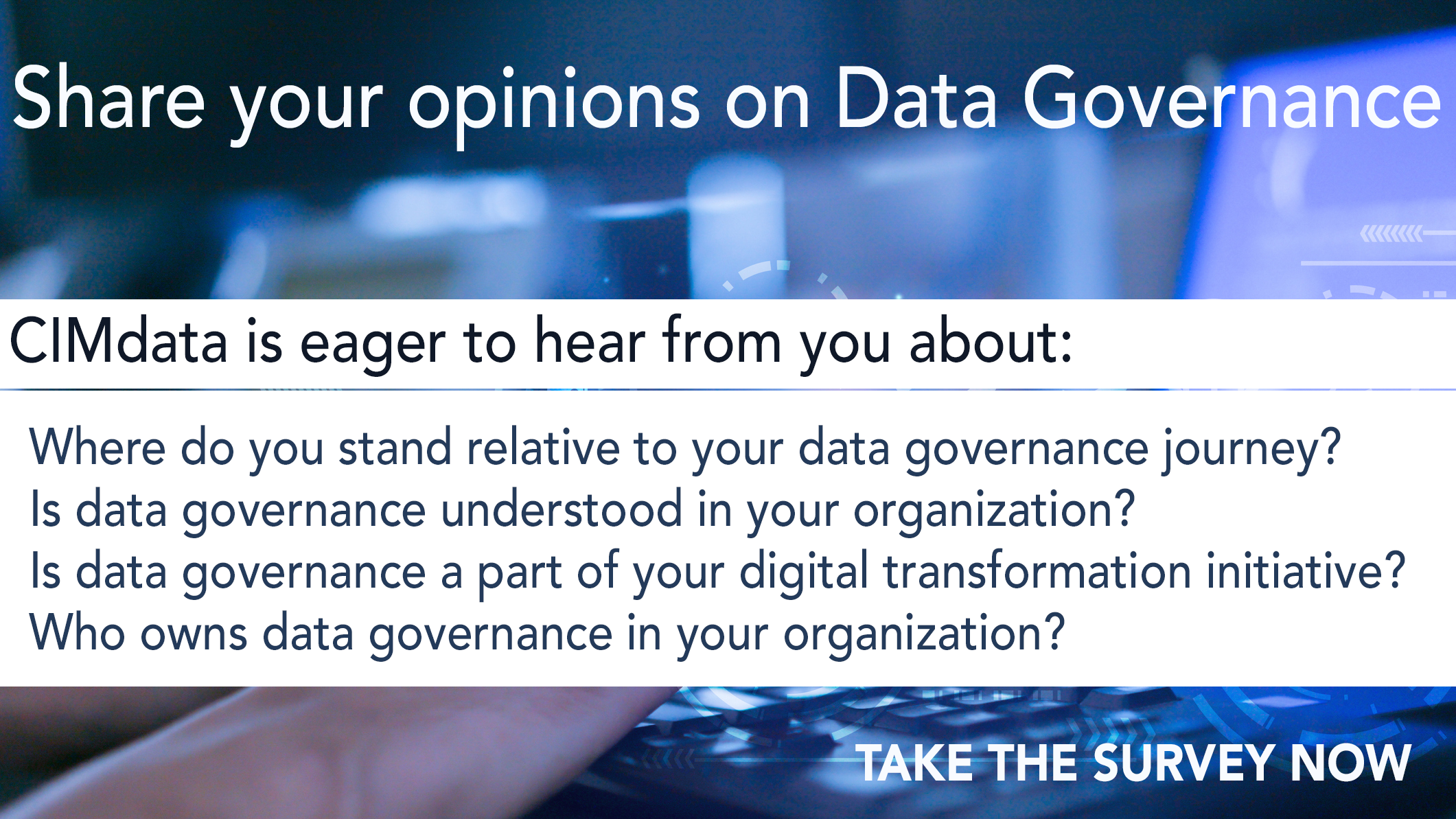 Data Governance Survey 2022
