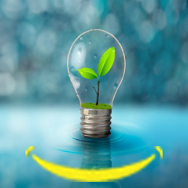 Sustainability blog1 8-26-24